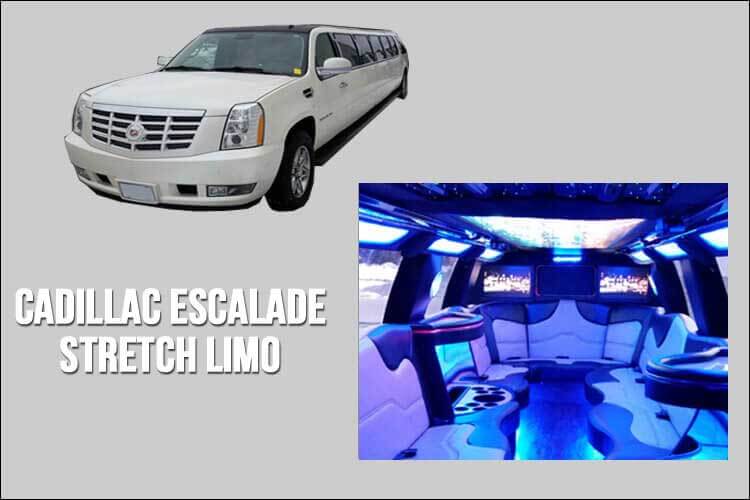 Limo and Party Bus Fleet - Stretch Limo