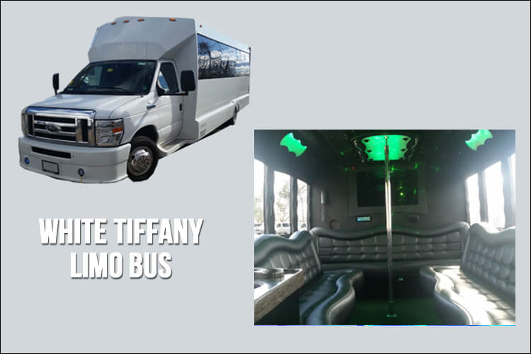 Limo and Party Bus Fleet - Limo Bus
